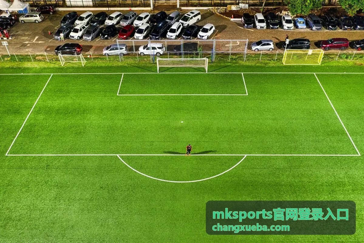 mksports官网登录入口识别与通道校验示意