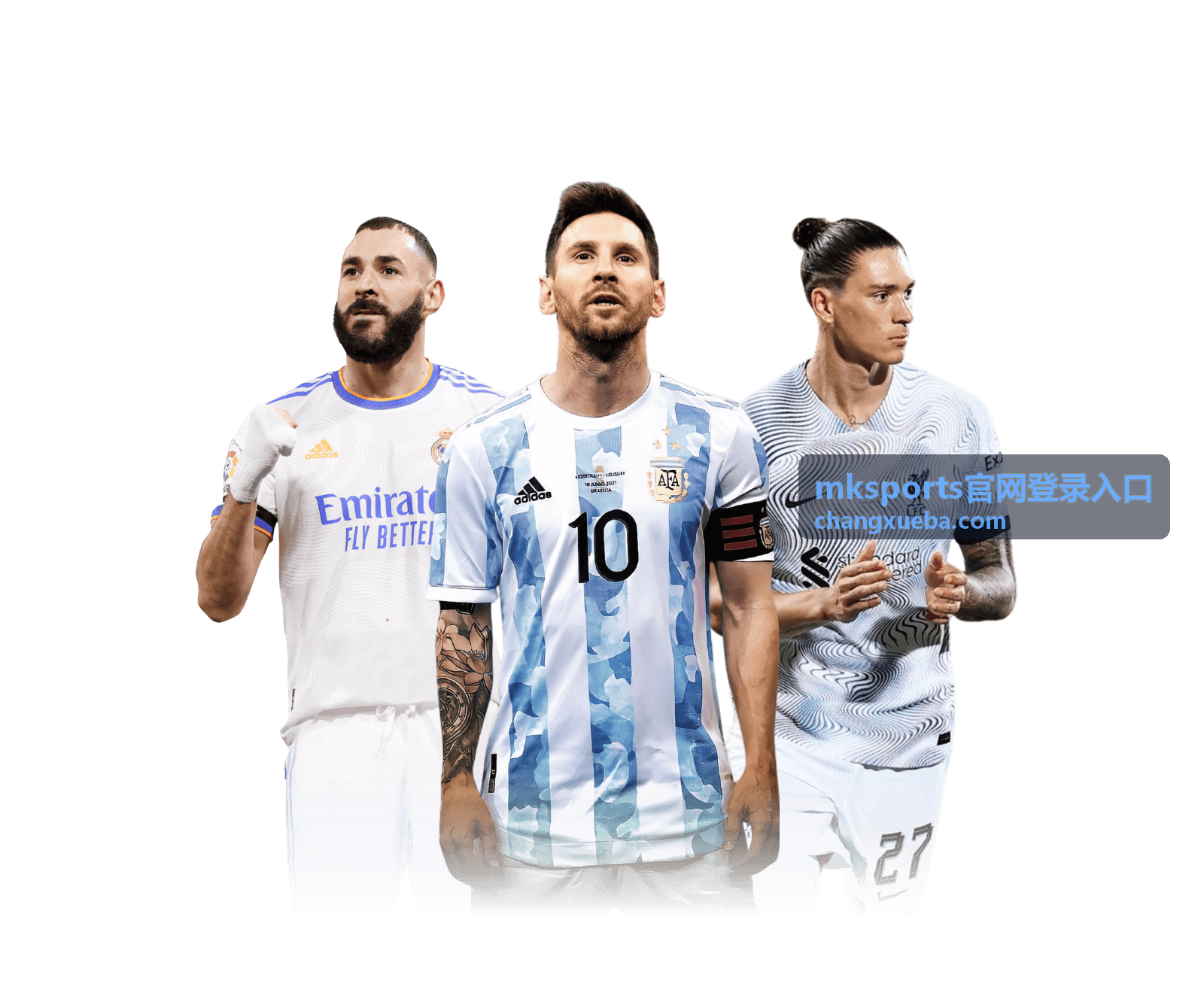 mksports官网登录入口电脑端登录场景