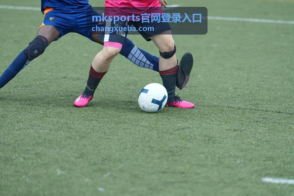 mksports官网登录入口手机端登录场景
